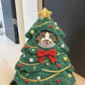 こんばんわん！みゆです🎄🤍.*の写真1枚目