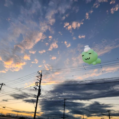 出勤します🐸