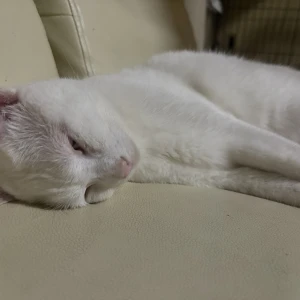 お久しぶりです りまです🦋の写真1枚目