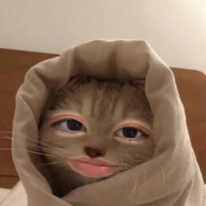 こんばんは、ぽちです🐾の写真1枚目