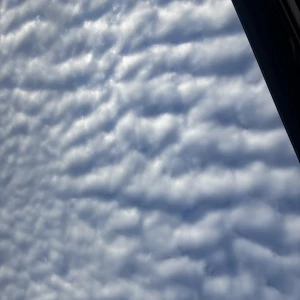 おはようございます😃の写真1枚目