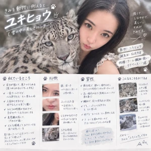 🦊❓🐯❓の写真1枚目