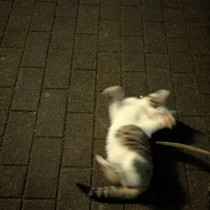 出勤してます😊✨の写真2枚目