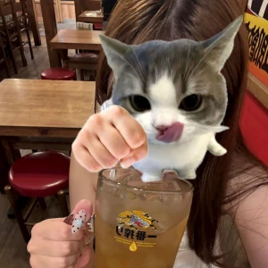 最後まで見てーの日曜日♫の写真2枚目