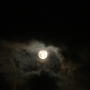 09.10の写真1枚目