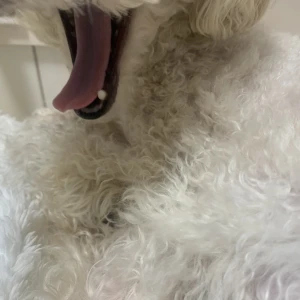 3/29の写真1枚目