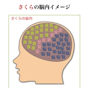9/21(日) 20時からいます🧠の写真1枚目