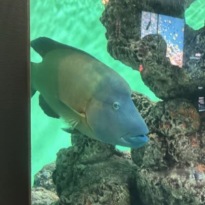 出勤💐の写真1枚目