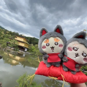 中学ぶりの金閣寺✨の写真1枚目