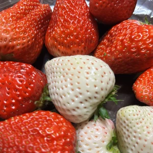 おはようございます。ゆまです🧸🥀の写真1枚目