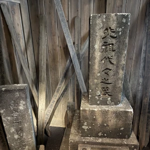 とってもとってもお久しぶりになってしまいました( ՞߹𖥦߹՞ )の写真2枚目