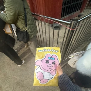 初詣の写真1枚目