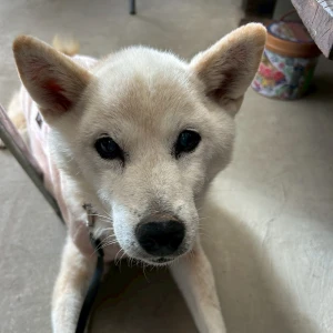 こんばんは🌟✨️あいです！の写真3枚目