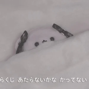 もえです🐰の写真1枚目