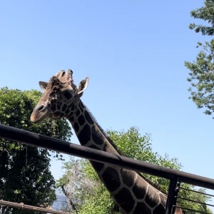 日曜日！の写真1枚目