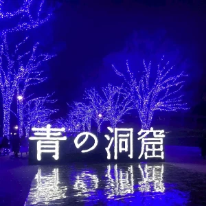 12/12の写真1枚目