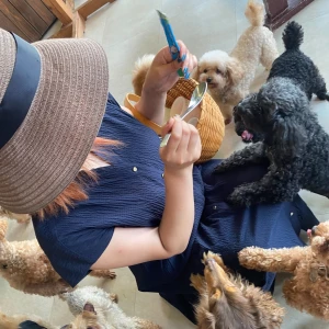 みなさまおはようございます🌞の写真1枚目