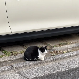 こんばんわん、みゆです〜〜〜の写真1枚目