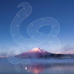 ‎🤍 あやです ‎🤍 今日います🙋‍♀️の写真1枚目