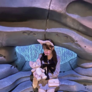 🏰🎀の写真1枚目