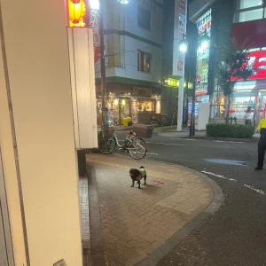 やっほー🎐.*の写真1枚目