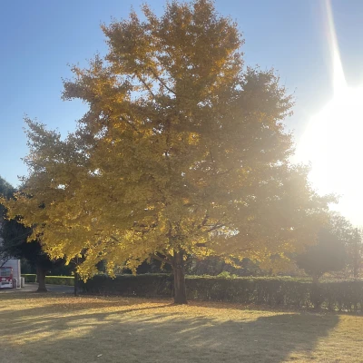10月3日