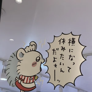 もえです🐰の写真1枚目