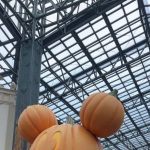👻🎃‪1️⃣の写真1枚目