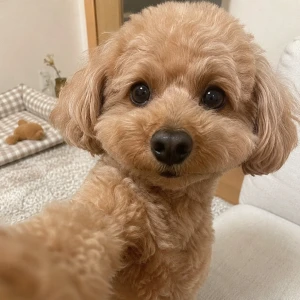 出勤🌸の写真1枚目