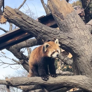 初投稿です！まろんです〜！の写真1枚目