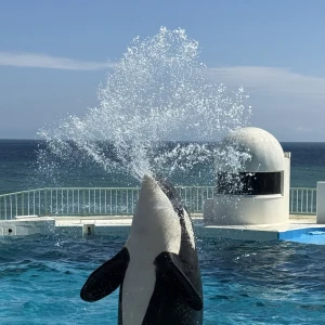 今日やすみ！の写真1枚目