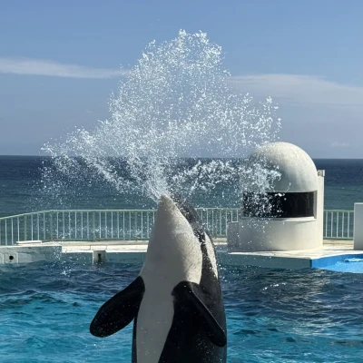 今日やすみ！