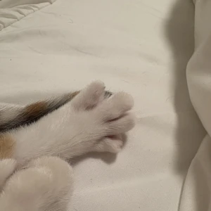 今日も出勤してます✨️の写真1枚目