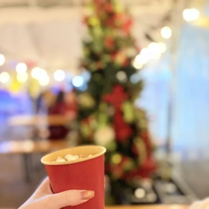 この間クリスマス気分味わってきた❣️の写真1枚目