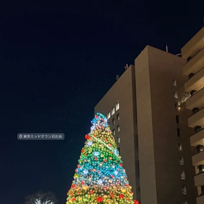 ティアラのくるみです〜〜🐻