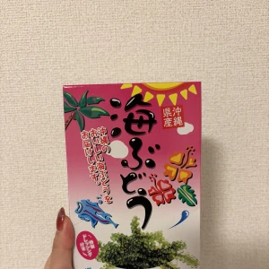 います₍ᐢ‥ᐢ₎ ♡の写真1枚目