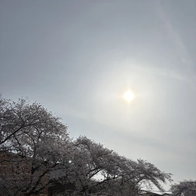 なんだかお久しぶりのブログになってしまった😾💧‬
