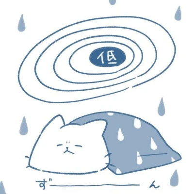 本日お休みです🙂‍↕️⋆꙳