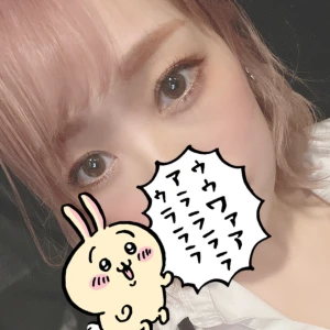 1/28の写真1枚目