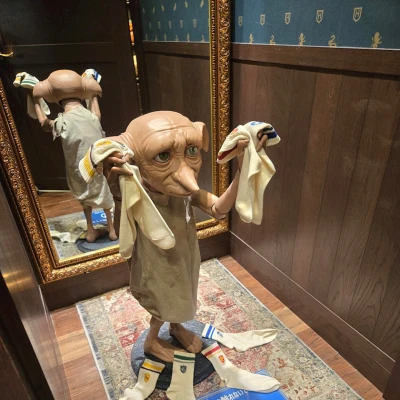 ドビーと二フラー💎