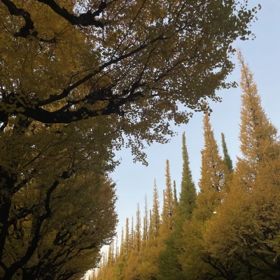 こんばんは！さなです🎀