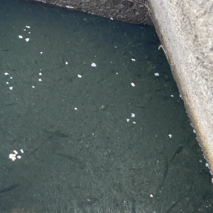 🌝の写真1枚目