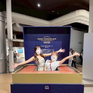 ✈️✈️✈️✈️の写真1枚目