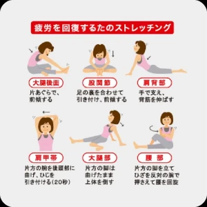 ストレッチの写真1枚目