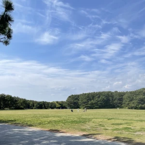 こんばんはつゆです今日は友達とピクニックに行きました😙青空の下で友達とお弁当🍱シェアして食べるのめっちゃ楽しかった😋お弁当は友達が恥ずかしいっての...の写真1枚目