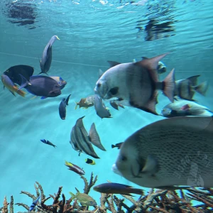 こんばんは！りなです！ただいまティアラに向かっております🚃の写真1枚目