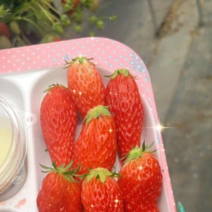 20時からいるよ☺️💕の写真1枚目