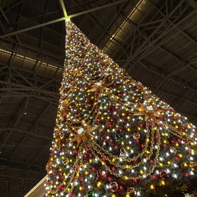 こんにちはゆりあです