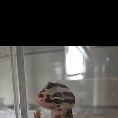 れおぱあ