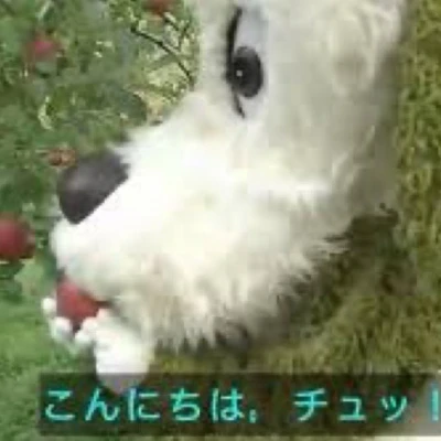 タイムライン: 10月18日 22:59